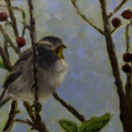 Sparrow in a crabapple tree
