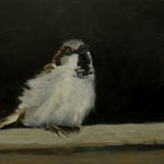 House Sparrow on a dark background