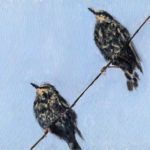 Two starlings on a wire